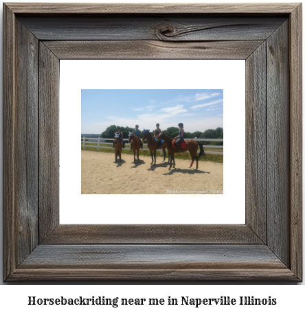 horseback riding near me in Naperville, Illinois